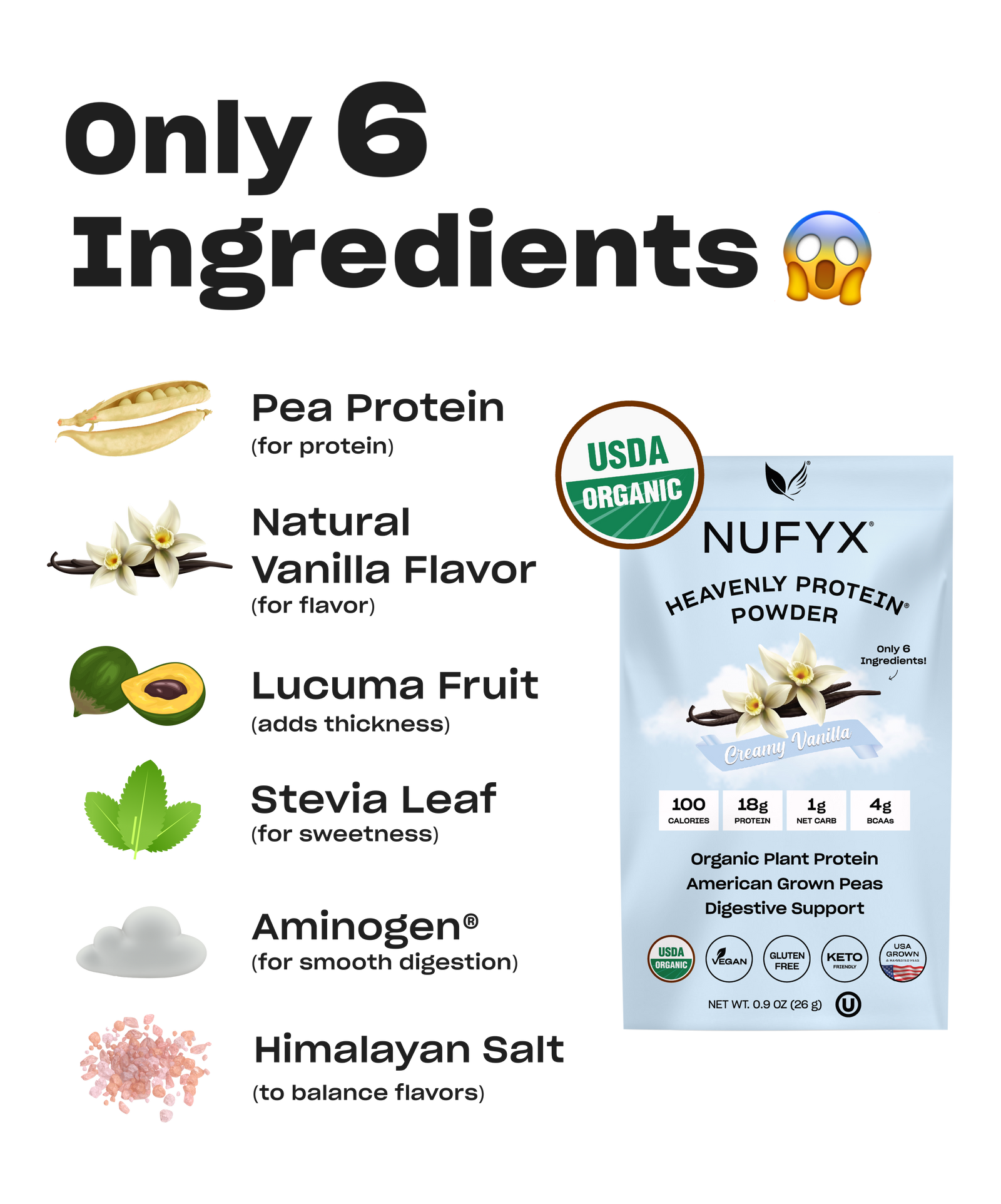 Heavenly Protein Powder, Creamy Vanilla - 1 Packet (26g) – nufyx.com